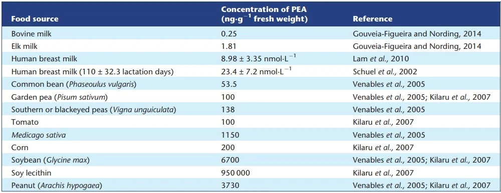 Palmitoylethanolamide-food-sources